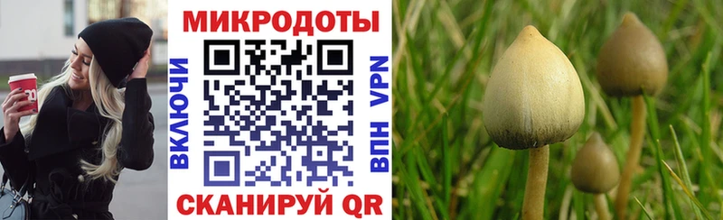 Галлюциногенные грибы мицелий  Данков 